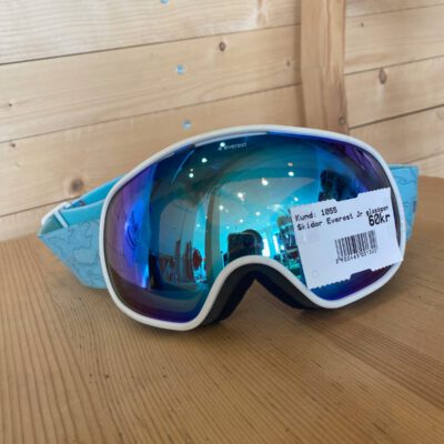 Skidglasögon Everest JR